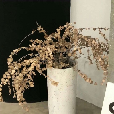 信宜FurryQQ群介绍